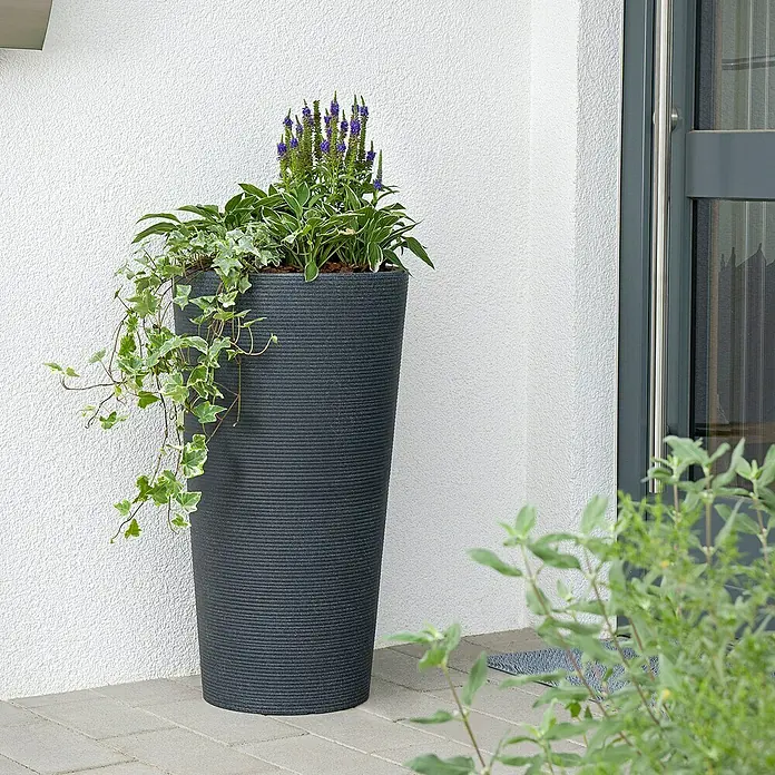 Scheurich Pflanzsäule rund Coneo - Außenmaß (Ø x H): 38,8 x 70 cm, Kunststoff, Granitschwarz - Ein schlanker, anthrazitfarbener Pflanzkübel mit üppigen Grünpflanzen und lila Blüten, der einen Eingangsbereich stilvoll akzentuiert.
