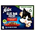 Felix Natvoer voor katten Elke Dag Feest Countryside Mix 