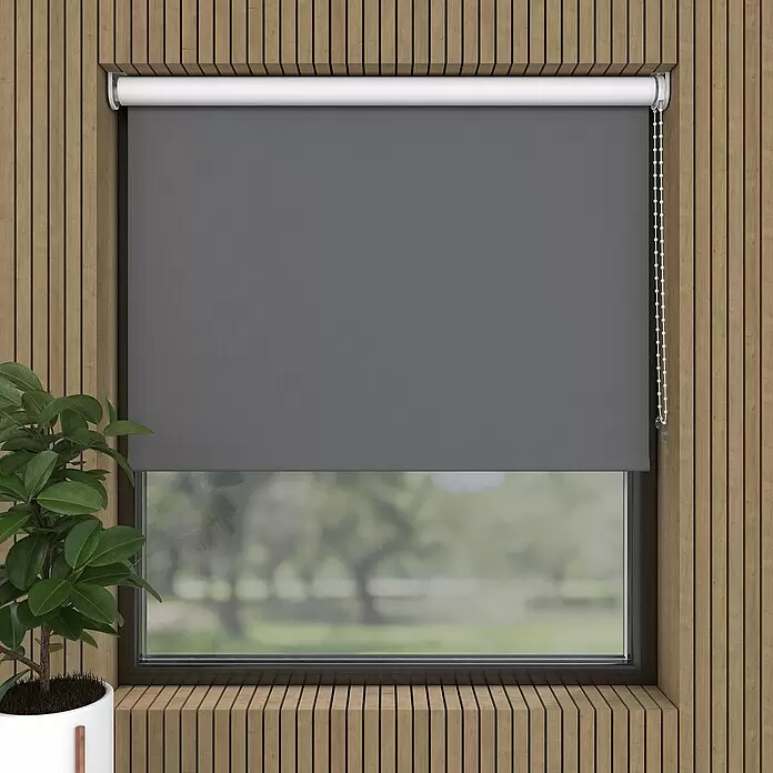 Expo Ambiente Verdunkelungsrollo - B x H: 80 x 190 cm, Grau, Uni - Stimmungsaufnahme