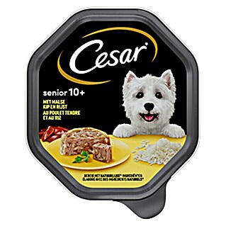Cesar Natvoer voor honden Sen Kip & Rijst Gelei (150 g, Volledig voer)