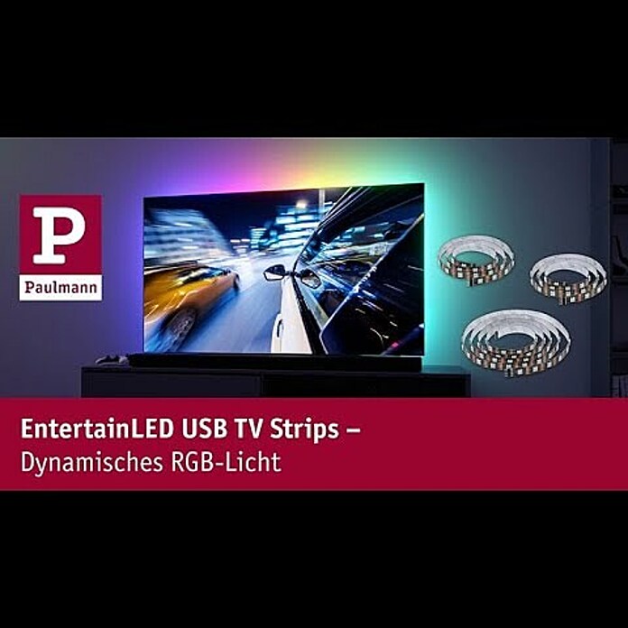 Paulmann Standfuß für LED-Stehlampe EntertainLED Lichtsäule 2 Stk