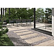 Terrassenfliese Garden Lightbrown 2.0 (39,7 x 119,7 x 2 cm, Hellbraun, Matt) | BAUHAUS