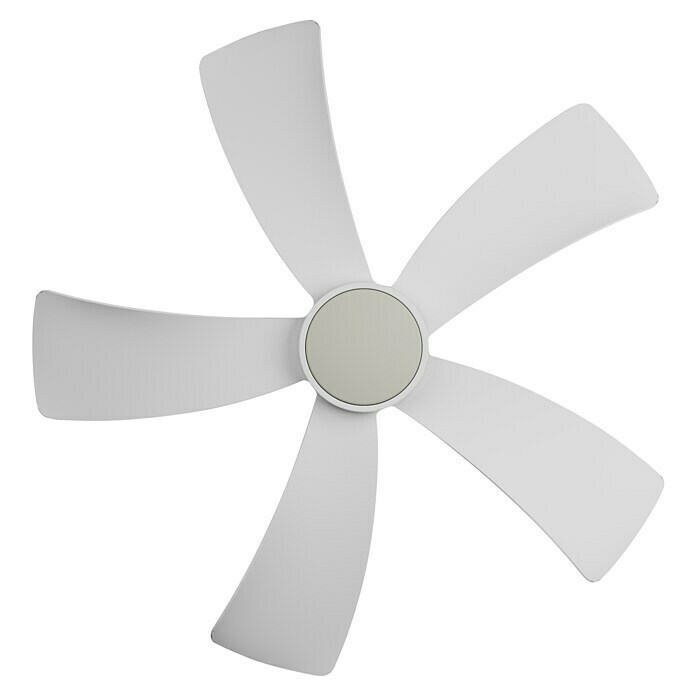 Arte confort Ventilador de techo Zoe (Blanco mate, 91,4 cm, 35 W, Blanco neutro) | BAUHAUS