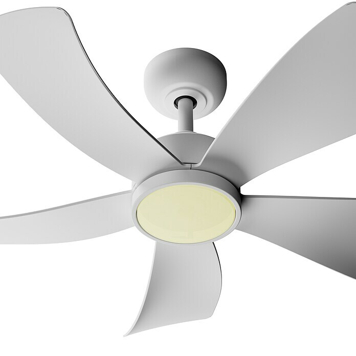Arte confort Ventilador de techo Zoe (Blanco mate, 91,4 cm, 35 W, Blanco neutro) | BAUHAUS