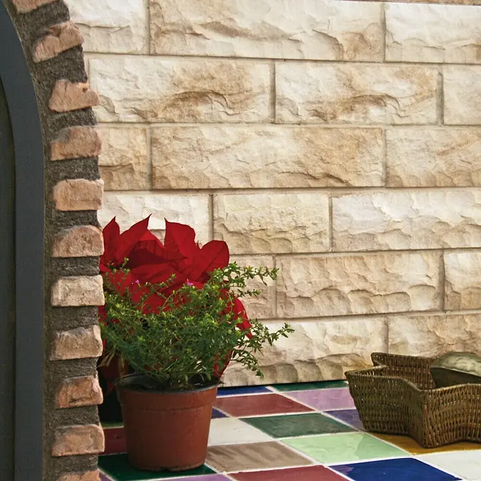 Revestimiento de piedra Cantabria - Pardo, Cantidad total: 4 pzs. - Planta en maceta con hojas rojas y brotes verdes, frente a una pared de piedra y un suelo de baldosas de colores.
