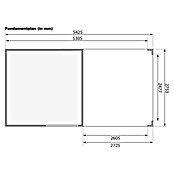 Karibu Gartenhaus Qubic 2 (Außenmaß inkl. Dachüberstand (B x T): 542,5 x 276 cm, Holz, Terragrau, Mit Seitendach) | BAUHAUS