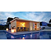 Karibu Gartenhaus Bastrup 7 (Außenmaß inkl. Dachüberstand (B x T): 774 x 333 cm, Holz, Natur, Mit Seitendach, Rück- und Seitenwand) | BAUHAUS
