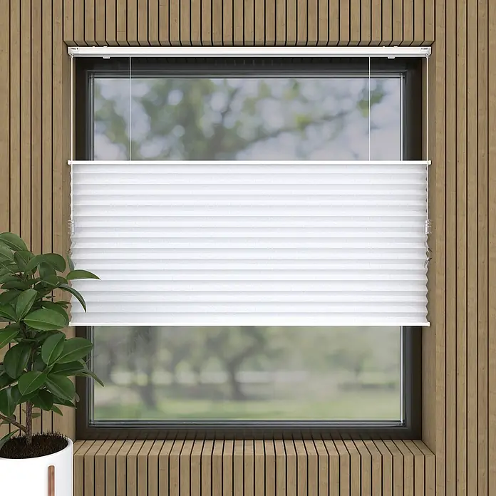 Wabenplissee TageslichtB x H: 120 x 240 cm, Weiß - Nahaufnahme eines Fensters mit einem stilvollen, weißen Plissee-Faltstore, das für Privatsphäre und Lichtsteuerung sorgt.