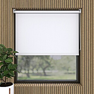 Expo Ambiente Rollo Mini (B x H: 45 x 150 cm, Weiß, Uni, Tageslichtdurchlässig)
