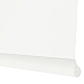 Viewtex Estor enrollable Black Out (An x Al: 120 x 190 cm, Blanco, Opaco)