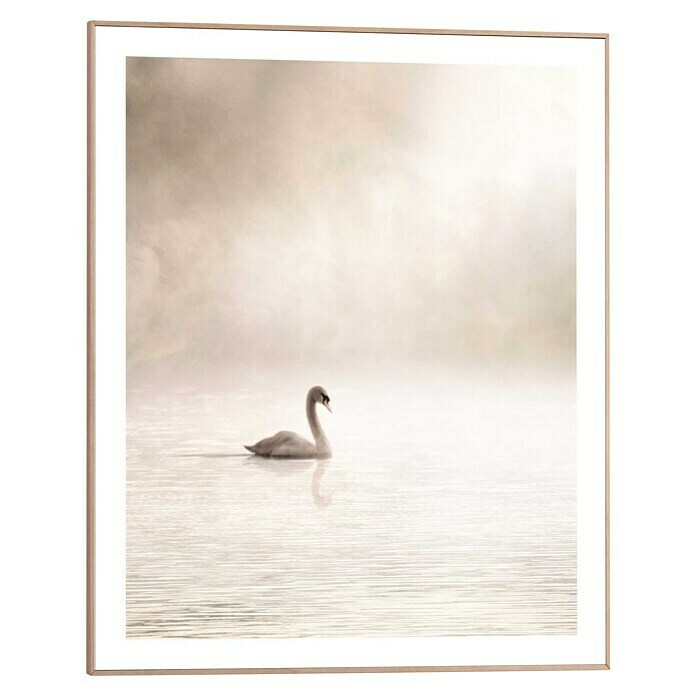 Reinders Canvasschilderij Slim Frame (Lake Swan, b x h: 40 x 50 cm) | BAUHAUS