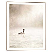 Reinders Canvasschilderij Slim Frame (Lake Swan, b x h: 40 x 50 cm) | BAUHAUS