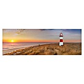 Decoratief paneel (Northsea Sun Light, b x h: 52 x 156 cm) | BAUHAUS