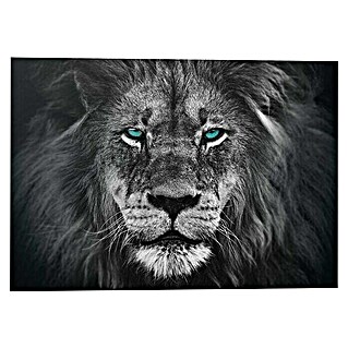 Decoratief paneel (Lions Face, b x h: 100 x 140 cm)