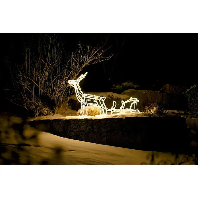 Tween Light LED-Lichtschlauch Rentier mit Schlitten - Anwendungsbereich: Außen, Warmweiß - Leuchtende Rentier- und Schlitten-Weihnachtsdekoration mit filigranen Lichtleitungen, die eine festliche Atmosphäre im Garten erzeugt.