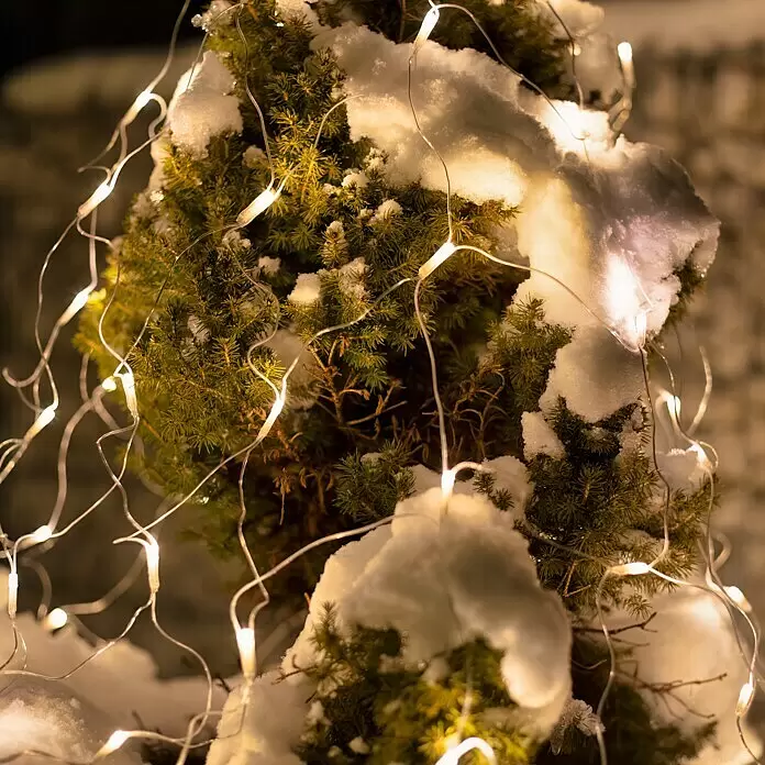 Tween Light LED-Lichtnetz - Außen, 2 m, Lichtfarbe: Warmweiß, Netzbetrieben - Warmweiße Lichterkette an einem verschneiten Nadelbaum.