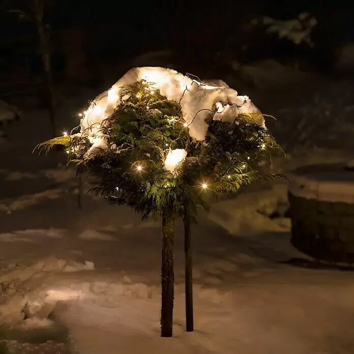Tween Light LED-Lichterkette - Außen, Lichtfarbe: Warmweiß, Anzahl Leuchtmittel: 720 Stk., Netzbetrieben - Kleiner grüner Baum mit Schnee und warmweißer Lichterkette bei Nacht.