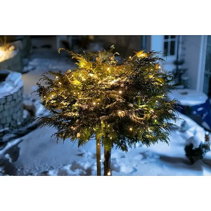 Tween Light LED-Lichterkette - Außen, Lichtfarbe: Warmweiß, Anzahl Leuchtmittel: 400 Stk., Netzbetrieben, 65 m - Kleiner immergrüner Baum, mit warmen Lichterketten geschmückt und leicht mit Schnee bedeckt in einer winterlichen Nachtszene.