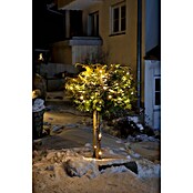 Tween Light LED-Lichterkette (Innen, 40-flammig, Kabellänge: 11 m)