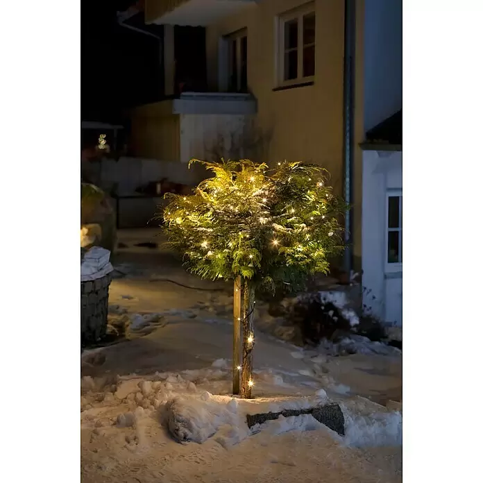 Tween Light LED-Lichterkette - Außen, Lichtfarbe: Warmweiß, Anzahl Leuchtmittel: 400 Stk., Netzbetrieben, 65 m - Kleiner immergrüner Baum, nachts im Schnee mit warmweißen Lichterketten geschmückt.