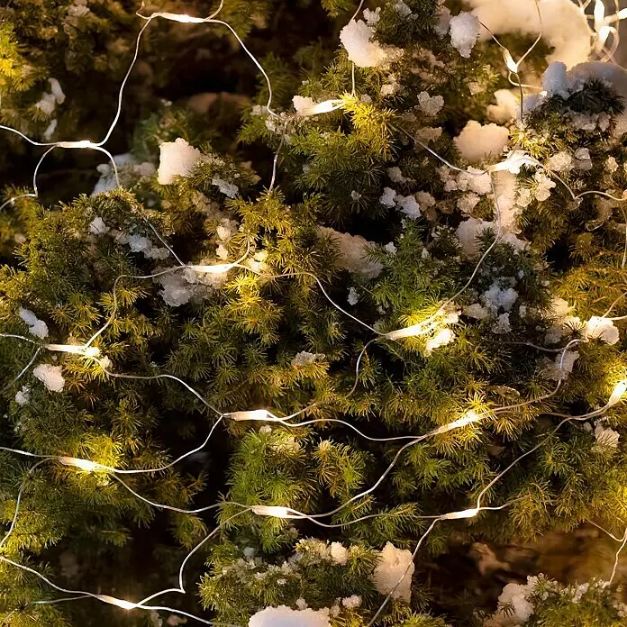 Tween Light LED-Lichtnetz - Außen, 2 m, Lichtfarbe: Warmweiß, Netzbetrieben - Warmweiße Lichterkette auf schneebedeckten Nadelbaumzweigen, die die festliche Szene erhellt.
