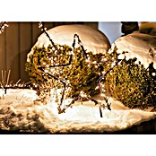 LED-Weihnachtsleuchte Gartenstecker Stern (Eisen, Anzahl LED: 350 Stk., Stern, Höhe: 135 cm)