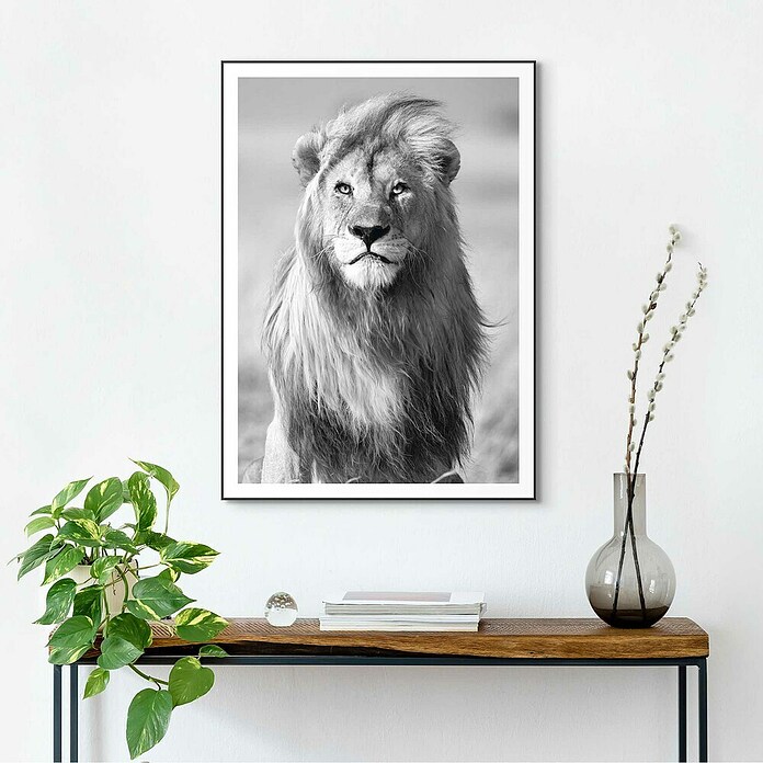 Canvasschilderij Slim Frame (Lions Crest, b x h: 50 x 70 cm) | BAUHAUS