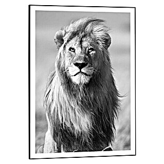 Canvasschilderij Slim Frame (Lions Crest, b x h: 50 x 70 cm)