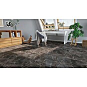 Feinsteinzeugfliese Premium Marble (60 x 60 cm, Anthrazit, Poliert)