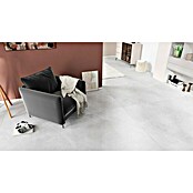 Feinsteinzeugfliese Aquila XXL (120 x 120 cm, Grau, Glänzend) | BAUHAUS