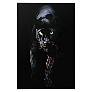 Decoratief paneel (Black Panther, b x h: 60 x 90 cm)