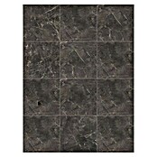 Feinsteinzeugfliese Premium Marble (60 x 60 cm, Anthrazit, Poliert)