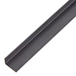 Alberts Perfil angular (L x An x Al: 2.000 x 20 x 10 mm, Espesor: 1 mm, Aluminio, Negro)