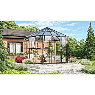 Vitavia Gewächshaus Juno 9000 (Außenmaß inkl. Dachüberstand (B x T): 336 x 383 cm, 3 mm, Anthrazit/Schwarz)