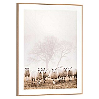 Canvasschilderij Slim Frame (Sheep in field, b x h: 30 x 40 cm)