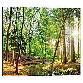 Decoratief paneel (Forest, b x h: 40 x 50 cm)
