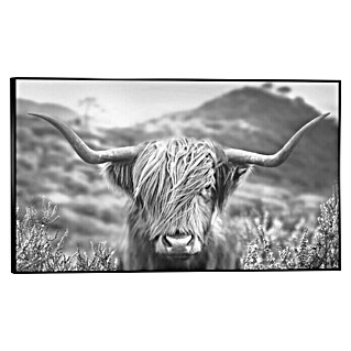 Foto op canvas (Highlander Landscape, b x h: 70 x 118 cm)