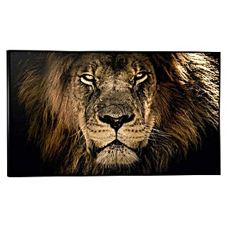 Foto op canvas (Lion, b x h: 118 x 70 cm)