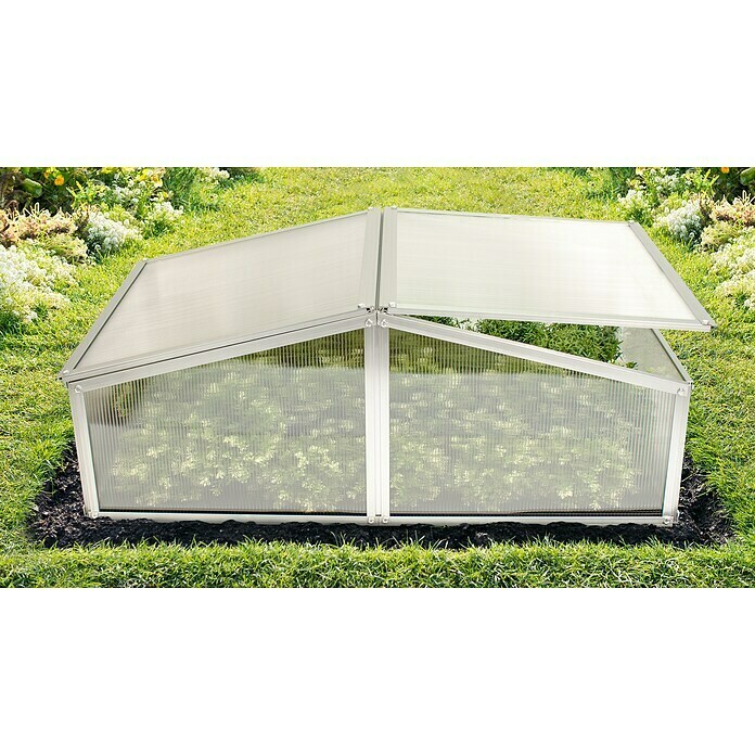 Vitavia Frühbeet Gaia XS (60 x 100 x 26 cm, Transparent, Polycarbonat)