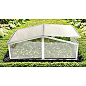 Vitavia Frühbeet Gaia XS (60 x 100 x 26 cm, Transparent, Polycarbonat)