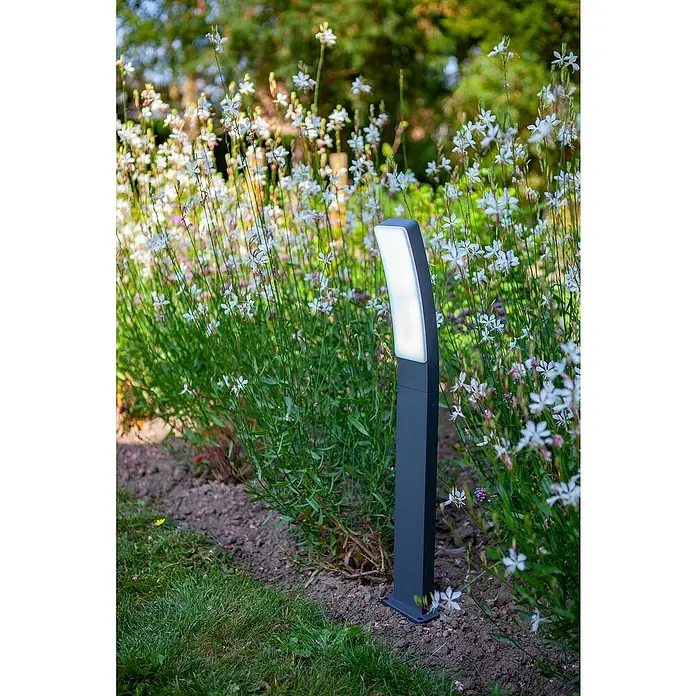 Lutec Sobremuro LED Kira - 19 W, Acero inoxidable, 12 x 11,4 x 74 cm - Una elegante luz de jardín se alza entre flores en flor, combinando perfectamente el diseño moderno con el entorno natural, realzando la estética.