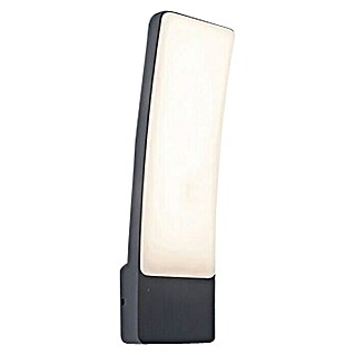 Lutec Vanjska zidna LED svjetiljka Kira (17,3 W, 8,3 x 11 x 31,1 cm, IP54)