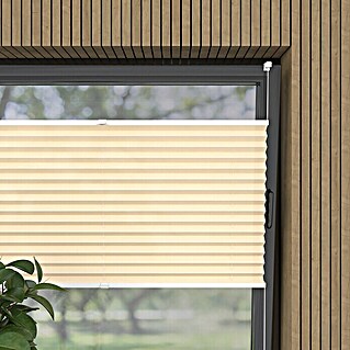 Plissee Basic VS TL (B x H: 45 x 130 cm, Creme)