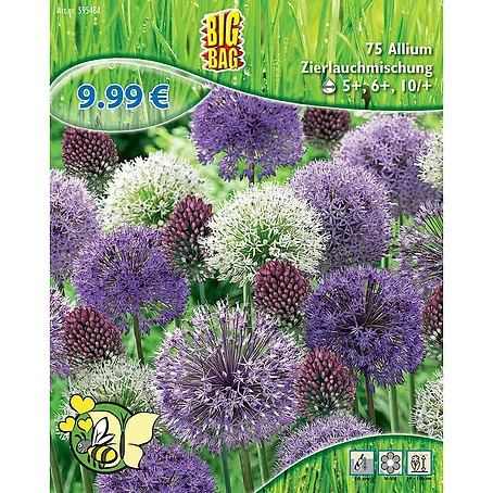 Frühlingsblumenzwiebel-Mix Zierlauchmischung