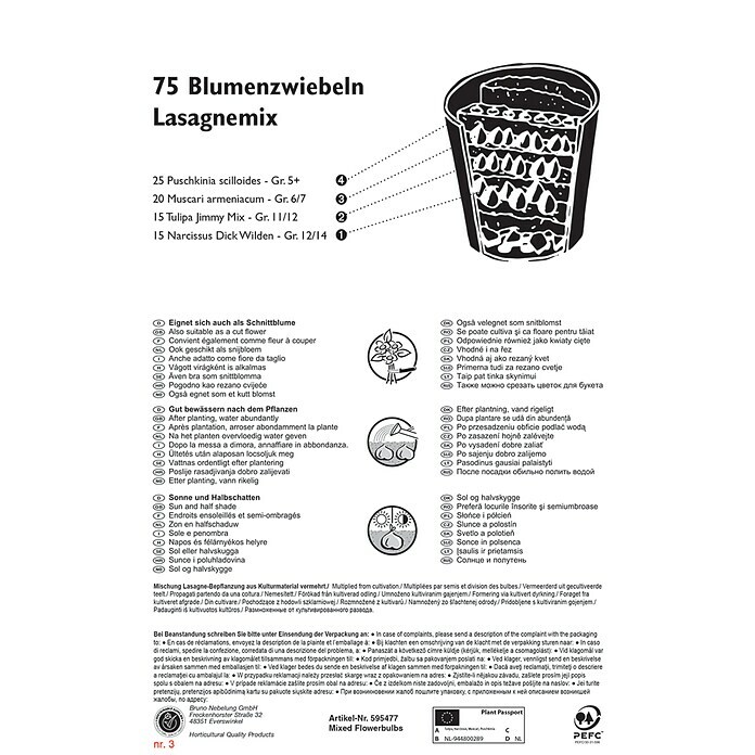 Frühlingsblumenzwiebel-Mix Lasagne-Mix (Verschiedenen Arten und Sorten, 75 Stk.) | BAUHAUS