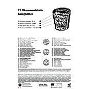 Frühlingsblumenzwiebel-Mix Lasagne-Mix (Verschiedenen Arten und Sorten, 75 Stk.) | BAUHAUS