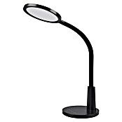 Reality Leuchten Led-tafellamp, rond - Sally (8 W, Zwart, Neutraal wit) | BAUHAUS