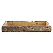 Deko-Tablett Rinde (Natur Wash, 39 x 15 cm, Holz) | BAUHAUS