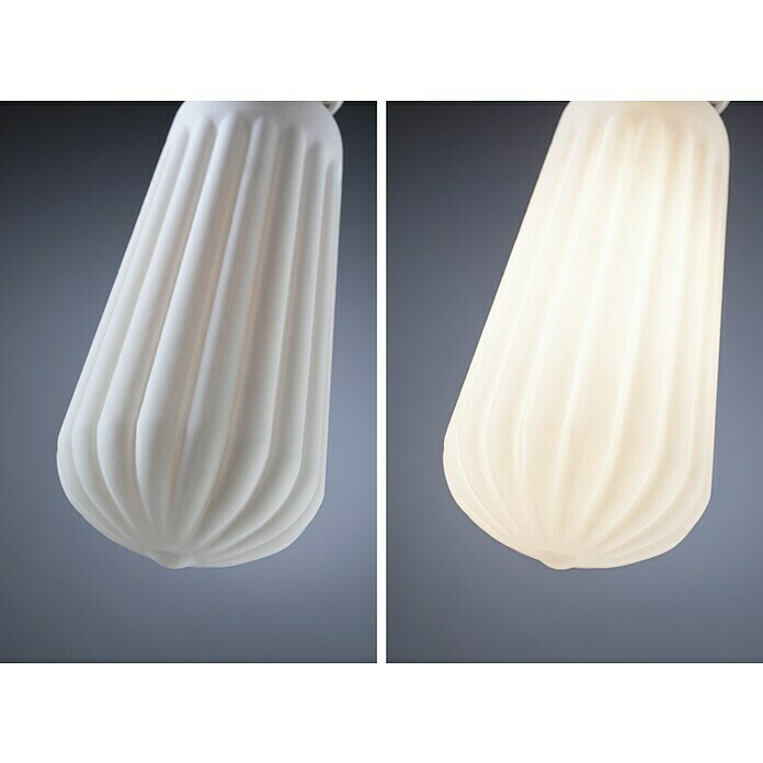Paulmann Bombilla LED Gota (E27, Intensidad regulable, Blanco cálido, 400 lm, 4 W, Forma de la lámpara: Gota) | BAUHAUS