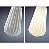 Paulmann Bombilla LED Gota (E27, Intensidad regulable, Blanco cálido, 400 lm, 4 W, Forma de la lámpara: Gota) | BAUHAUS